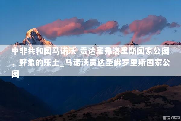 文章配图