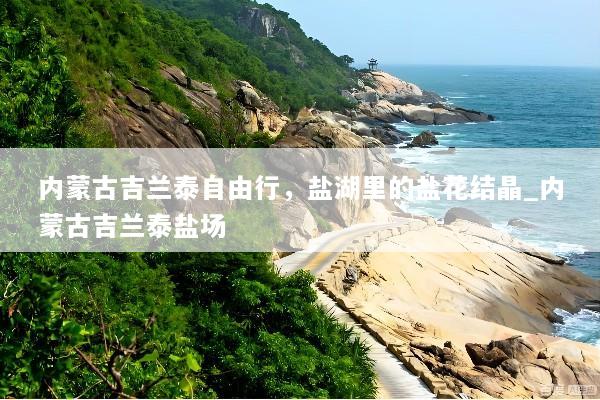 内蒙古吉兰泰自由行，盐湖里的盐花结晶_内蒙古吉兰泰盐场