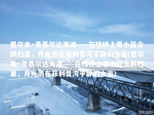 墨尔本·圣基尔达海滩——在栈桥上看小蓝企鹅归巢，月光洒在菲利普湾平静的水面(墨尔本·圣基尔达海滩——在栈桥上看小蓝企鹅归巢，月光洒在菲利普湾平静的水面)
