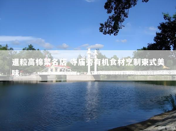 暹粒高棉菜名店 寺庙旁有机食材烹制柬式美味