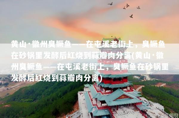 黄山·徽州臭鳜鱼——在屯溪老街上，臭鳜鱼在砂锅里发酵后红烧到蒜瓣肉分离(黄山·徽州臭鳜鱼——在屯溪老街上，臭鳜鱼在砂锅里发酵后红烧到蒜瓣肉分离)