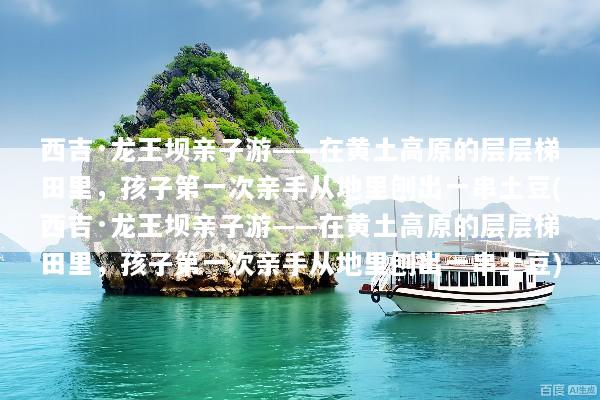 西吉·龙王坝亲子游——在黄土高原的层层梯田里，孩子第一次亲手从地里刨出一串土豆(西吉·龙王坝亲子游——在黄土高原的层层梯田里，孩子第一次亲手从地里刨出一串土豆)