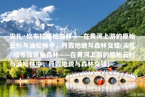 尖扎·坎布拉原始森林——在黄河上游的原始云杉与油松林中，丹霞地貌与森林交错(尖扎·坎布拉原始森林——在黄河上游的原始云杉与油松林中，丹霞地貌与森林交错)