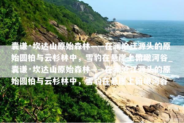 囊谦·坎达山原始森林——在澜沧江源头的原始圆柏与云杉林中，雪豹在悬崖上俯瞰河谷_囊谦·坎达山原始森林——在澜沧江源头的原始圆柏与云杉林中，雪豹在悬崖上俯瞰河谷