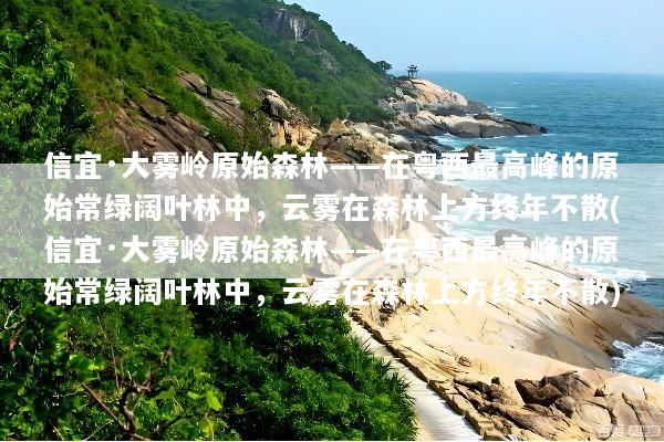 信宜·大雾岭原始森林——在粤西最高峰的原始常绿阔叶林中，云雾在森林上方终年不散(信宜·大雾岭原始森林——在粤西最高峰的原始常绿阔叶林中，云雾在森林上方终年不散)