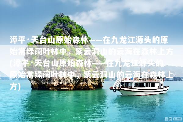 漳平·天台山原始森林——在九龙江源头的原始常绿阔叶林中，紫云洞山的云海在森林上方(漳平·天台山原始森林——在九龙江源头的原始常绿阔叶林中，紫云洞山的云海在森林上方)
