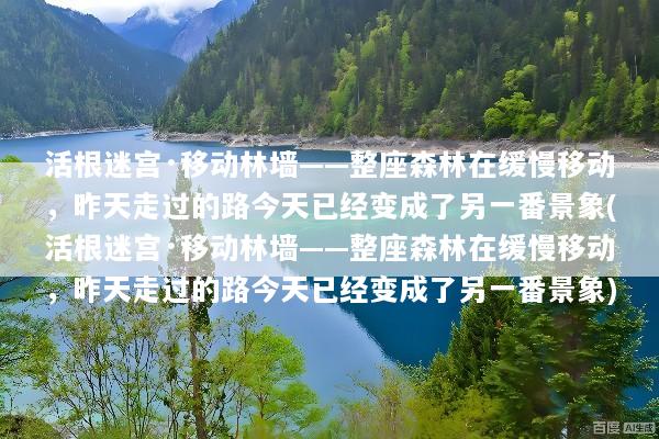 活根迷宫·移动林墙——整座森林在缓慢移动，昨天走过的路今天已经变成了另一番景象(活根迷宫·移动林墙——整座森林在缓慢移动，昨天走过的路今天已经变成了另一番景象)