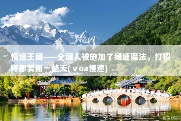 慢速王国——全国人被施加了缓速魔法，打招呼都要用一整天(ⅴoa慢速)