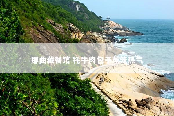那曲藏餐馆 牦牛肉包子蒸笼热气