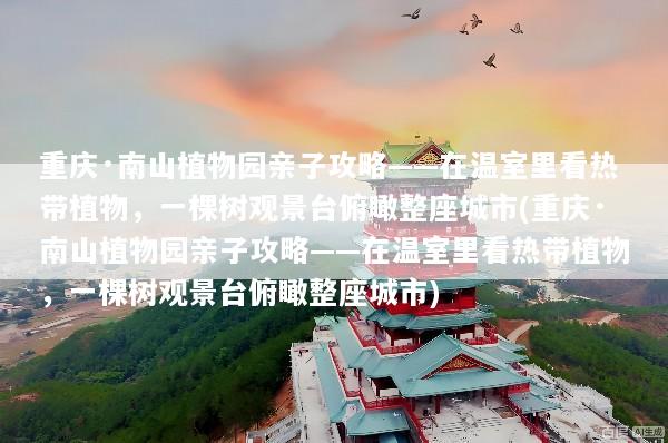 重庆·南山植物园亲子攻略——在温室里看热带植物，一棵树观景台俯瞰整座城市(重庆·南山植物园亲子攻略——在温室里看热带植物，一棵树观景台俯瞰整座城市)